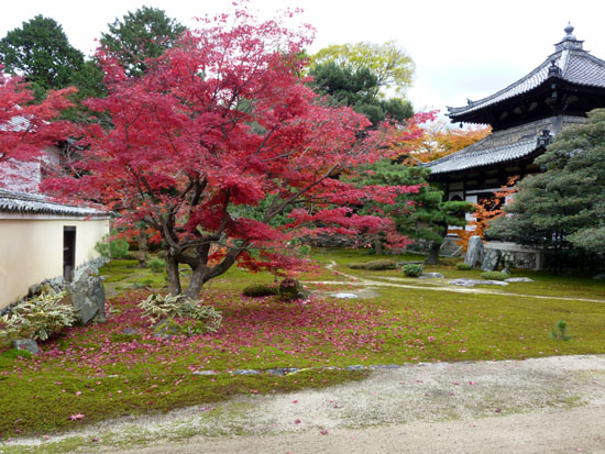 紅葉の京都旅行2_e0048413_20243433.jpg