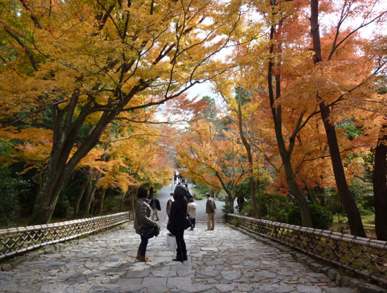 紅葉の京都旅行2_e0048413_2024346.jpg