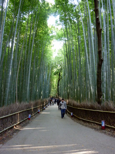 紅葉の京都旅行3_e0048413_2121131.jpg