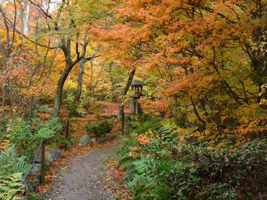 紅葉の京都旅行3_e0048413_21213668.jpg