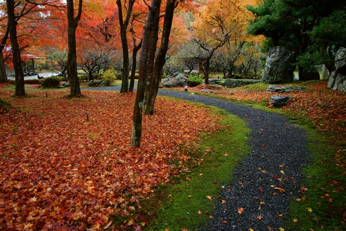 しょうざん庭園の紅葉_e0177413_21522395.jpg