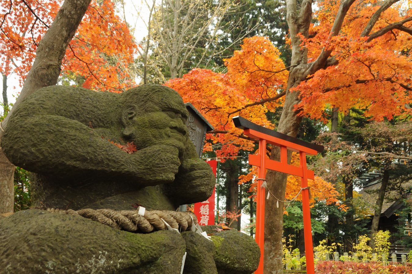 多聞院の紅葉 ～番外編～_f0133213_2013287.jpg