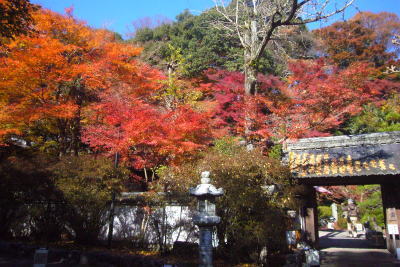 e0099614_2395356.jpg
