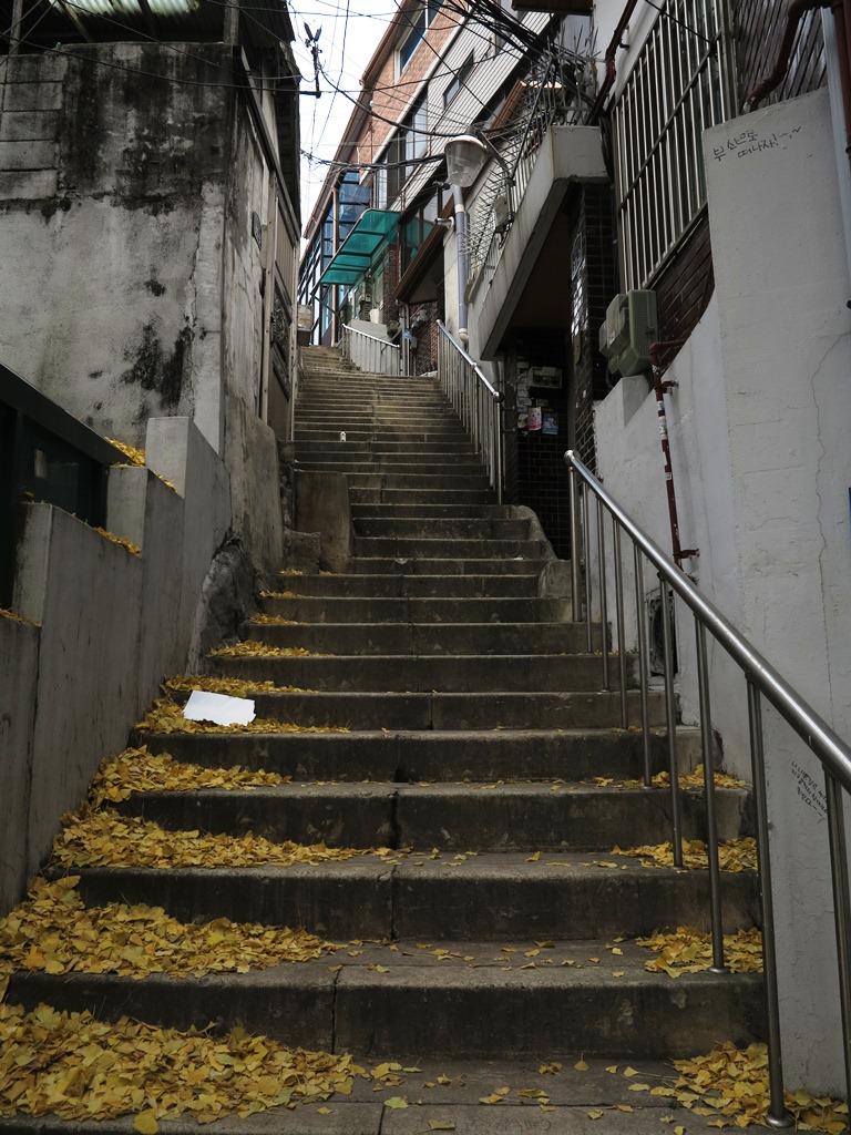 f0064415_15513269.jpg