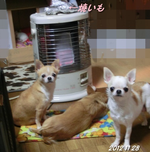 c0200916_21331752.jpg