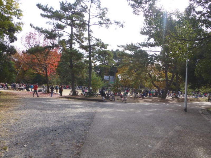 b0174217_2004192.jpg