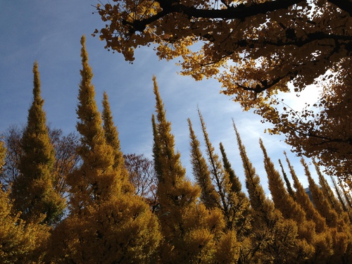 e0109817_15144846.jpg