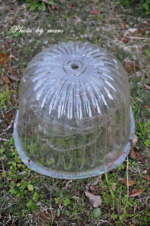 e0160417_21474857.jpg