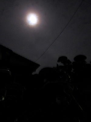 e0224118_2116106.jpg