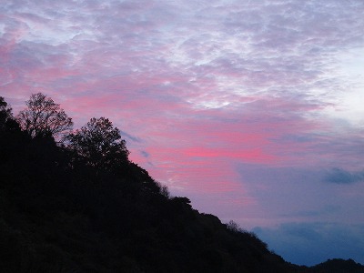 e0224118_21261055.jpg