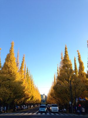 a0219120_041319.jpg