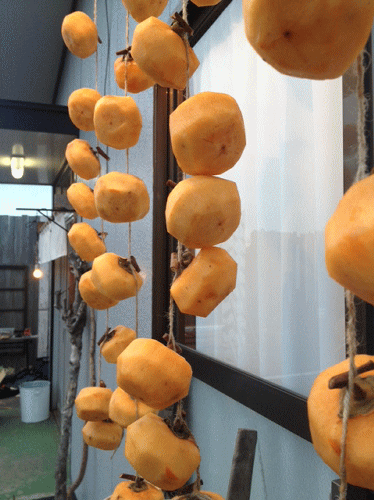 干し柿吊るしました_a0251920_193712.gif