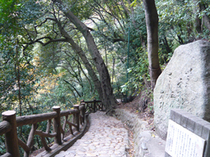 b0019820_19263879.jpg