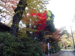 秋の深大寺_d0049221_2136716.jpg