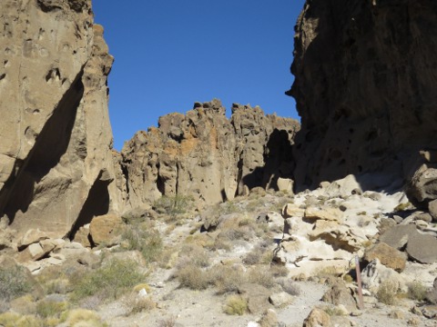 a0097322_5523977.jpg