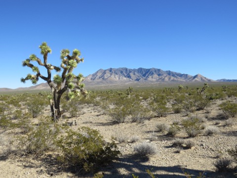 a0097322_5532947.jpg