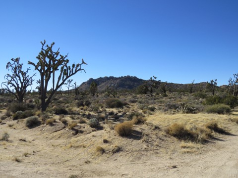 a0097322_5542387.jpg