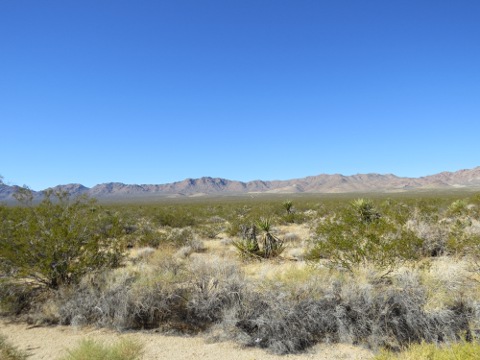 a0097322_605136.jpg