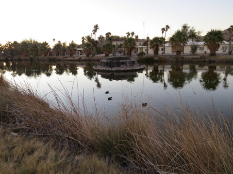 a0097322_61084.jpg
