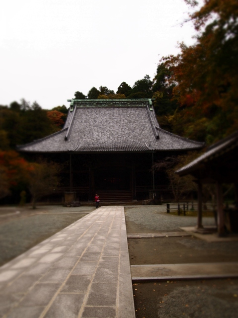 b0177323_20512840.jpg