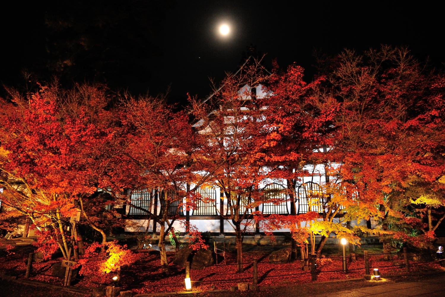 京都報告 その3 _c0220824_18434595.jpg