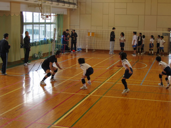 d0138226_10261686.jpg