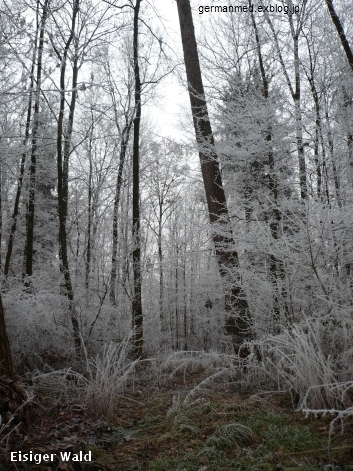 d0144726_8585171.jpg