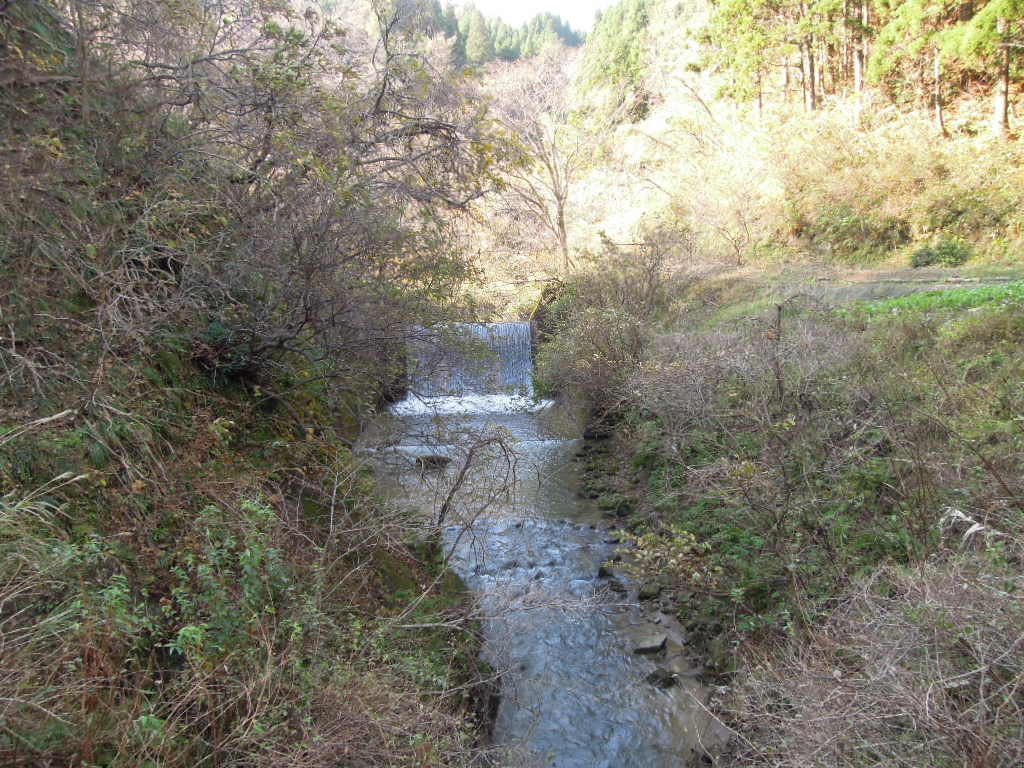e0147226_229117.jpg