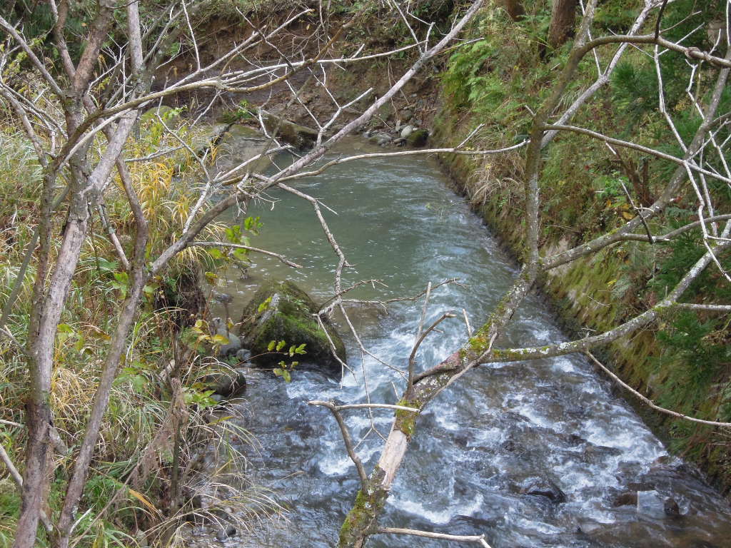 e0147226_229346.jpg