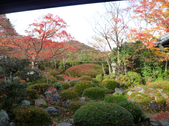 紅葉情報　2012　12/01_d0106134_028670.jpg