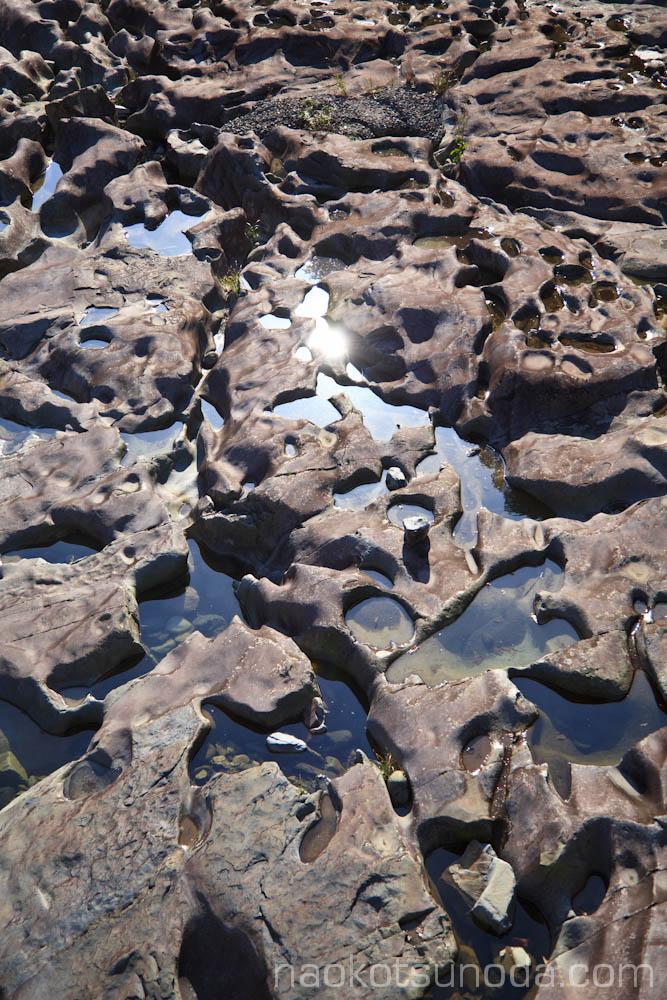 c0157739_141587.jpg