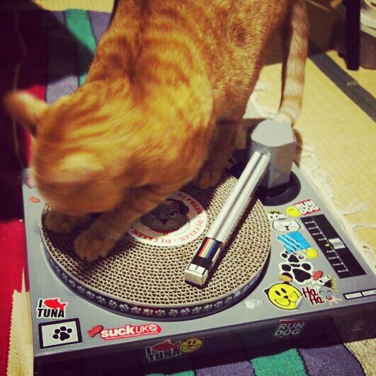 Cat Scratch Turntableで遊ぼう。_b0141240_2174171.jpg