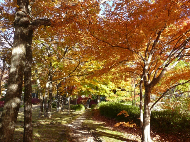 c0147241_17143687.jpg