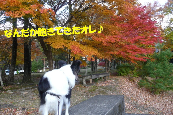 c0147241_17145288.jpg