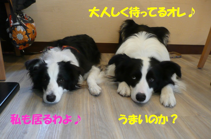 c0147241_17151740.jpg