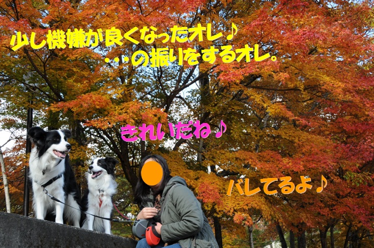 c0147241_171524100.jpg