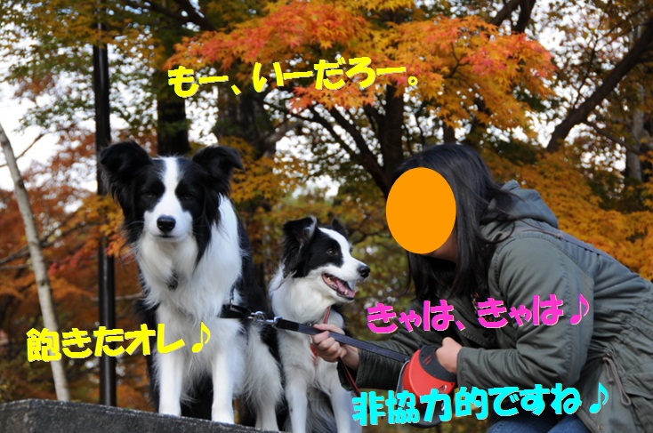 c0147241_17153152.jpg