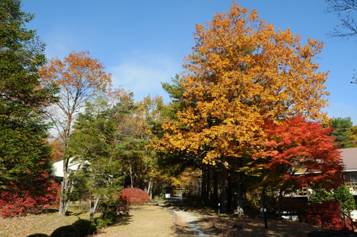 c0147241_17153819.jpg