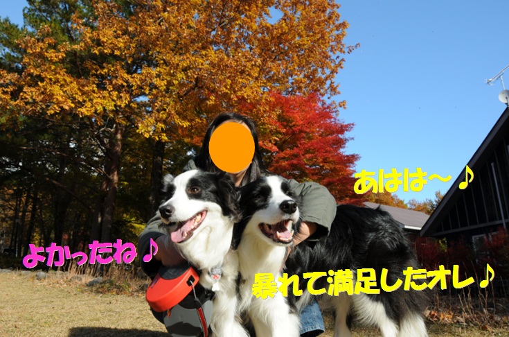 c0147241_17163343.jpg