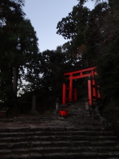 a0286742_1031070.jpg