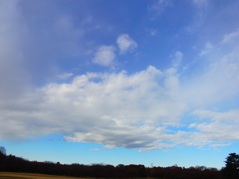 b0190242_18492035.jpg