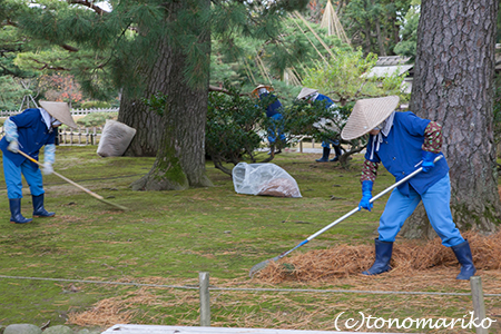 日本三名園「兼六園」のおさんぽ_c0024345_11415981.jpg