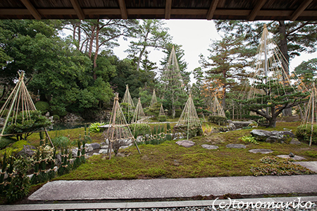 日本三名園「兼六園」のおさんぽ_c0024345_11422010.jpg