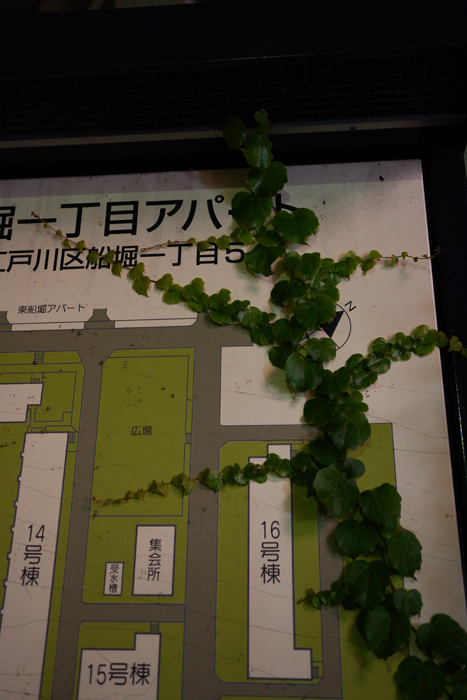 c0035245_1235083.jpg