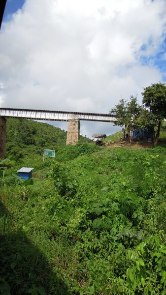 f0055745_751018.jpg