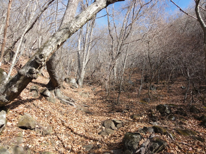 深田久弥が最後に目指した頂へ 茅ヶ岳 単身赴任の山歩き