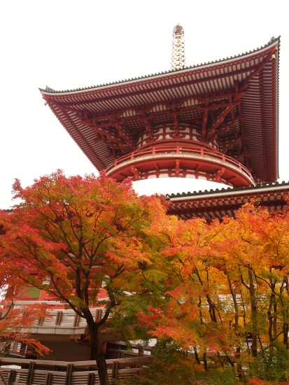 紅葉狩り_a0021956_15403913.jpg