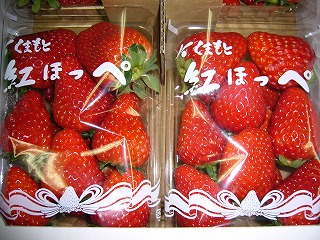紅ほっぺ イチゴの形って最初で決まるんですよ!_a0254656_16251846.jpg