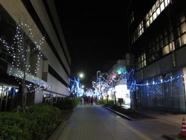 d0130156_043197.jpg