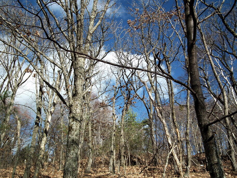 e0064158_18524054.jpg